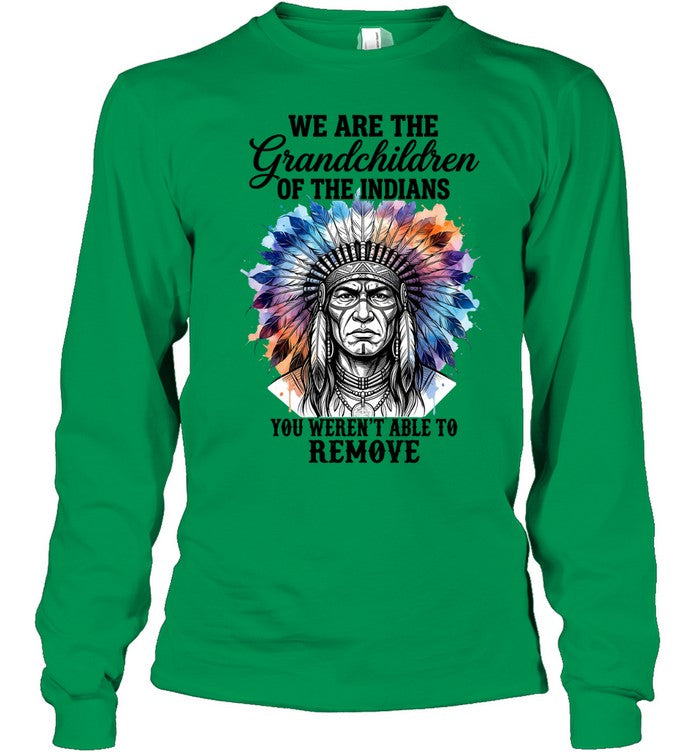 WE ARE THE Grandchildren OF THE INDIANS YOU WEREN'T ABLE TO REMOVE