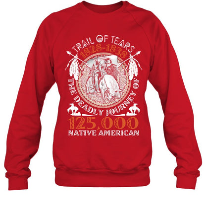 TRAIL OF TEARS 1828-1838 125,000 NATIVE AMERICAN