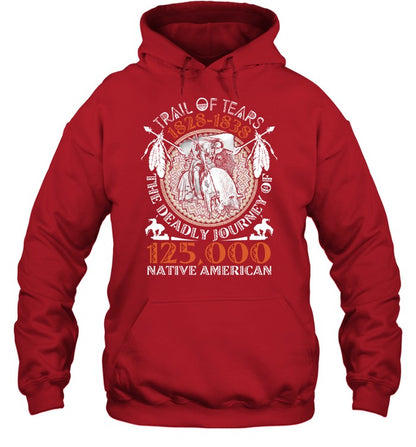 TRAIL OF TEARS 1828-1838 125,000 NATIVE AMERICAN